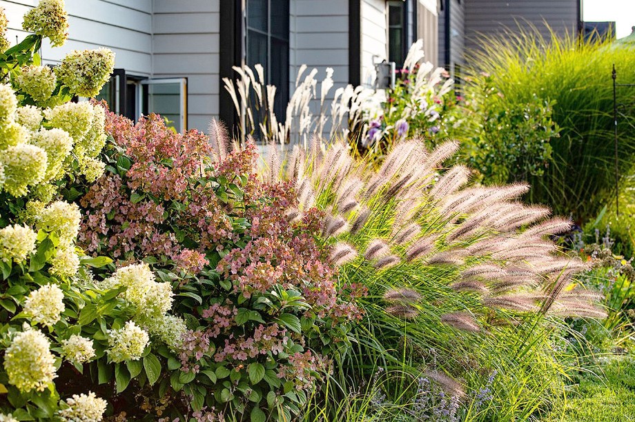 Tall Potted Plants Patio Privacy
