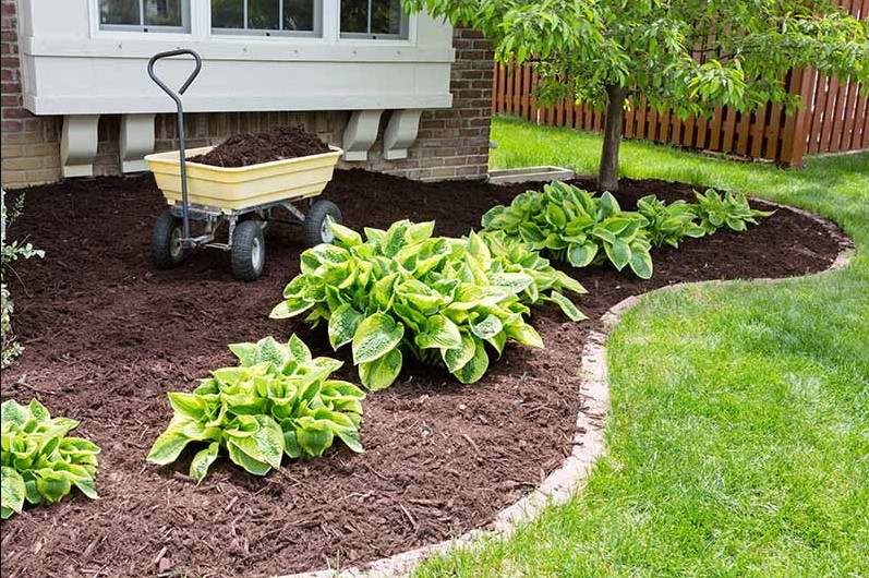 Mulch borders and rock yard