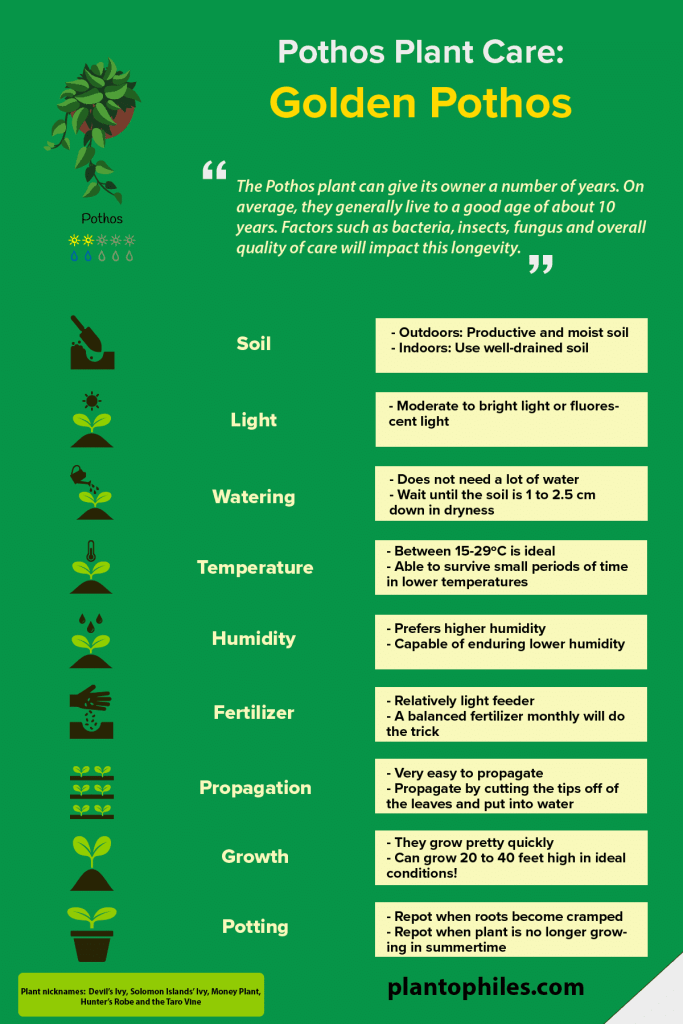 POTHOSNFOGRAPHIC