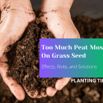 Too Much Peat Moss On Grass Seed